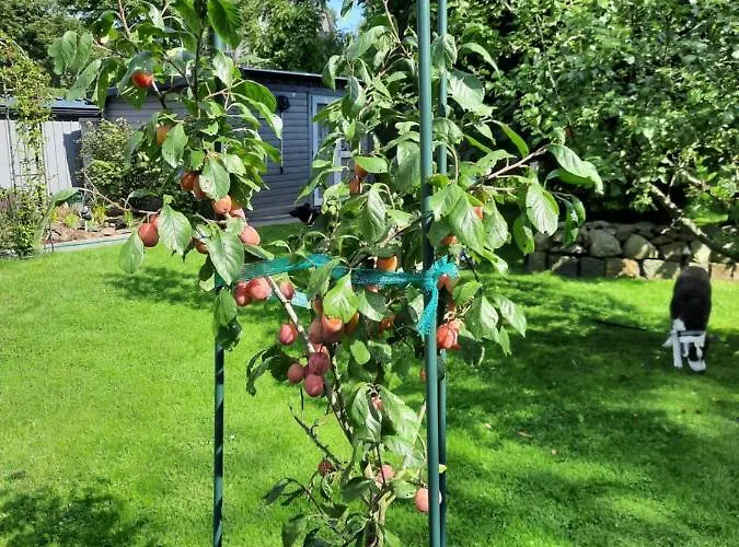 Im Alten Bahnhof Niederrossbach